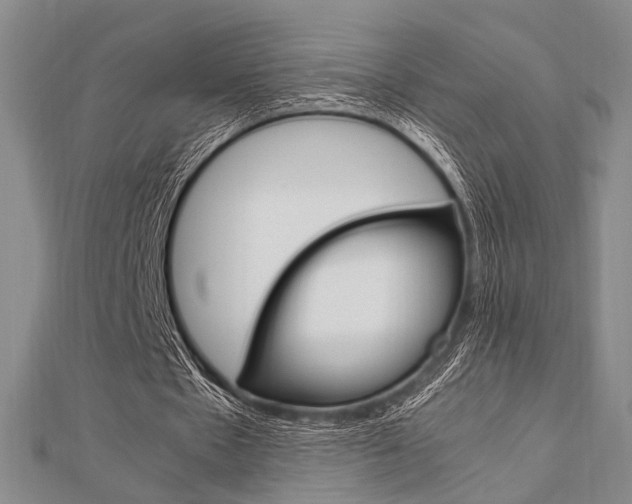 X0000112010481200908031024