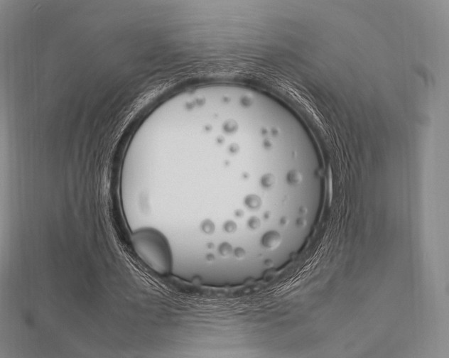 X0000112010483200908031024