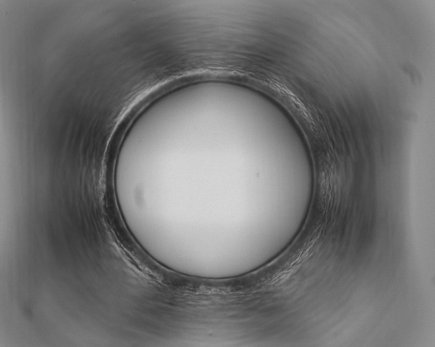X0000112010484200908031024