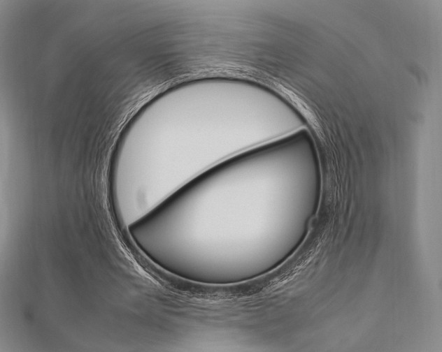 X0000112010485200908031024