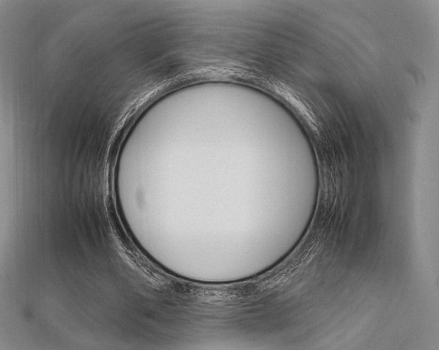 X0000112010486200908031024