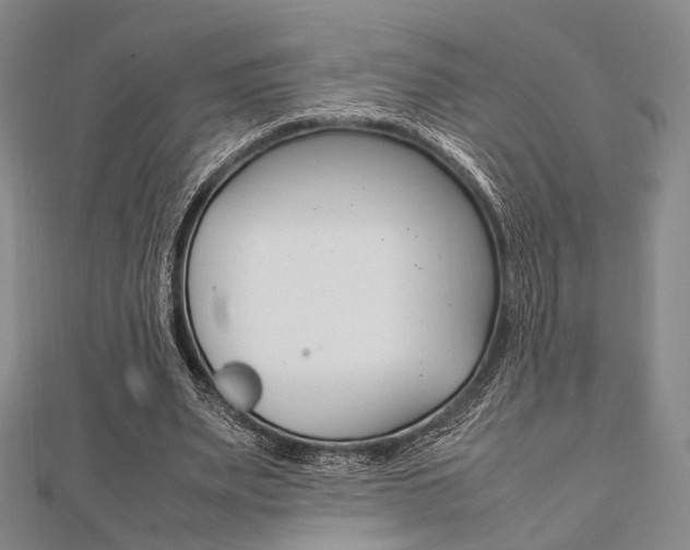 X0000112010487200908031024