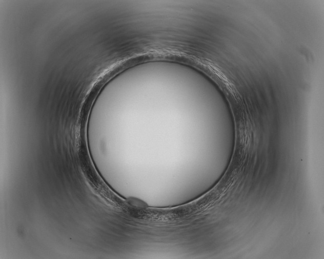 X0000112010488200908031024
