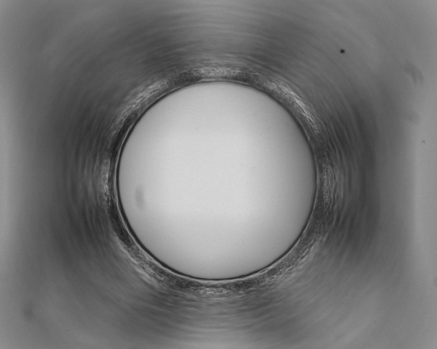 X0000112010490200908031024