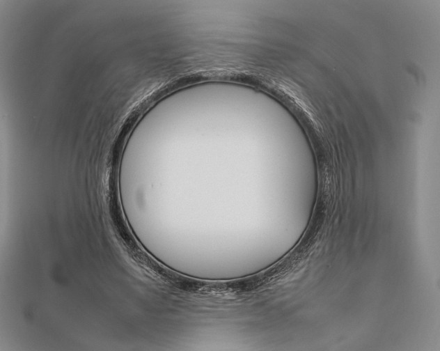 X0000112010491200908031024
