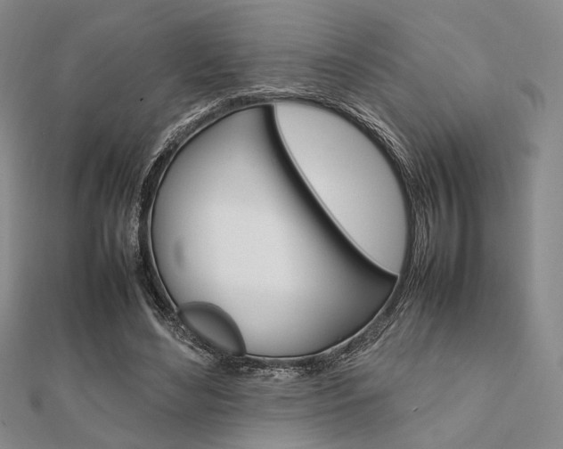 X0000112010492200908031024