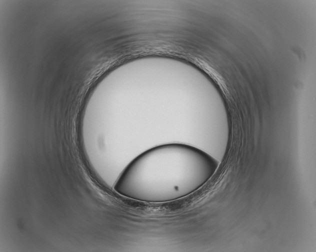 X0000112010493200908031024