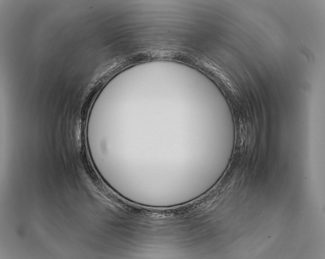 X0000112010494200908031024