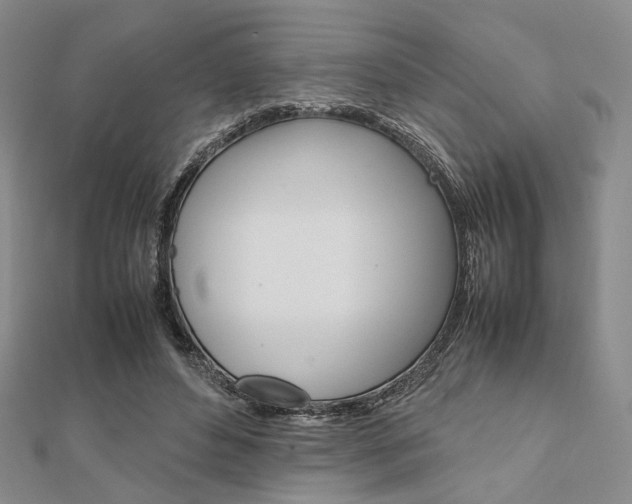 X0000112010496200908031024
