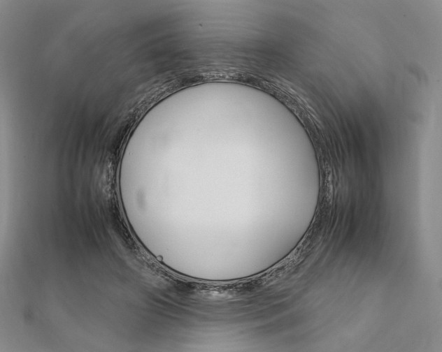 X0000112010498200908031024