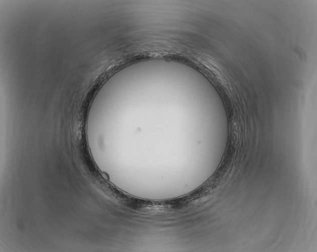X0000112010499200908031024