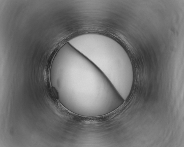 X0000112010500200908031024