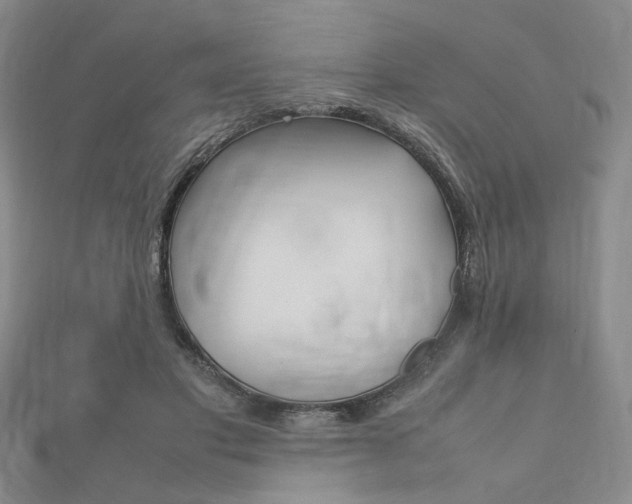 X0000112010501200908031024