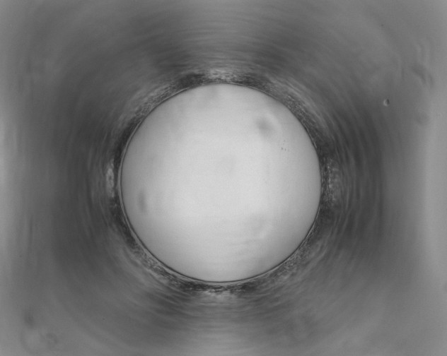 X0000112010502200908031024