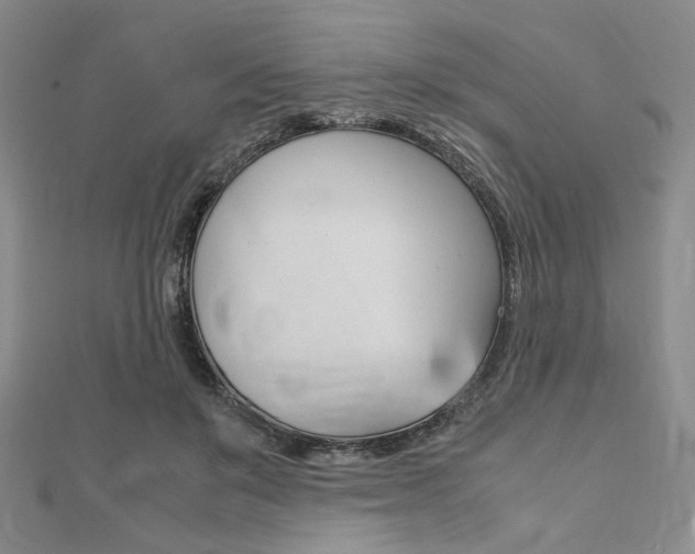 X0000112010503200908031024