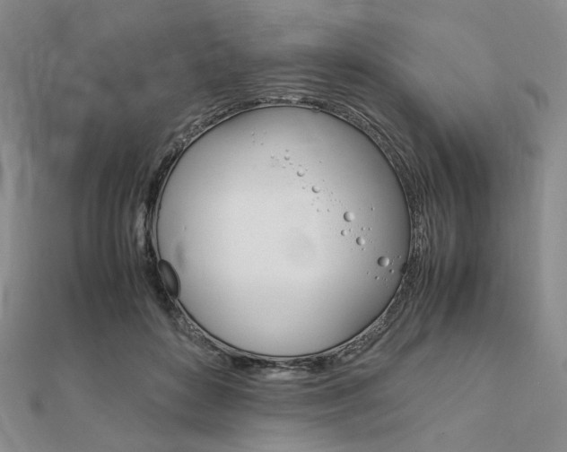 X0000112010504200908031024