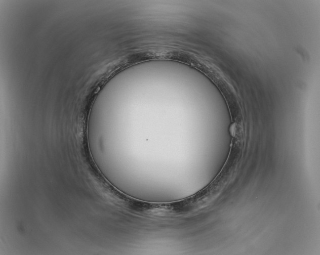 X0000112010505200908031024