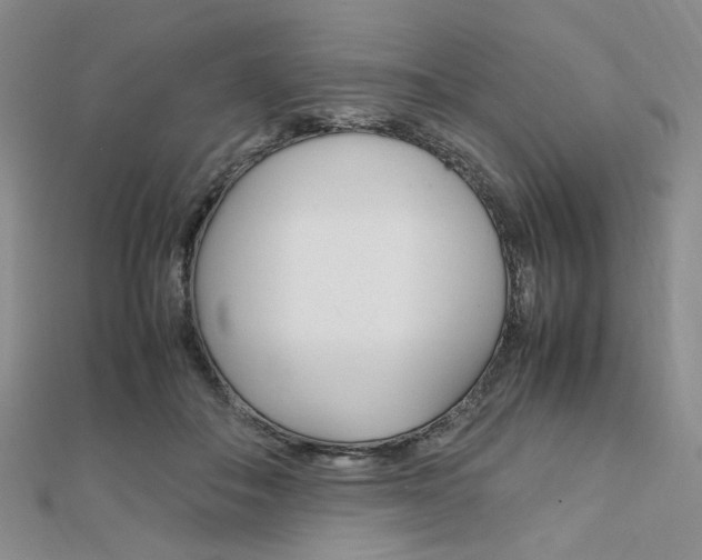 X0000112010506200908031024