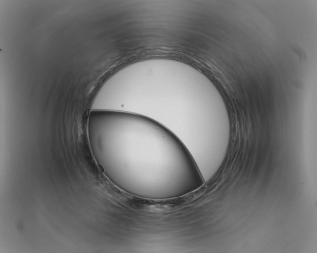 X0000112010508200908031024