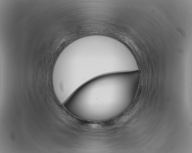 X0000112010509200908031024
