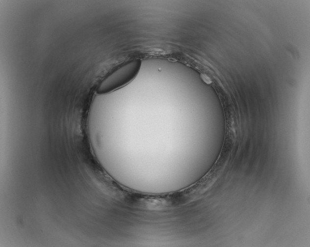 X0000112010512200908031024