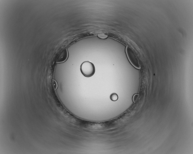 X0000112010513200908031024