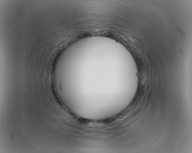 X0000112010515200908031024
