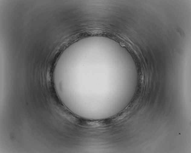 X0000112010516200908031024