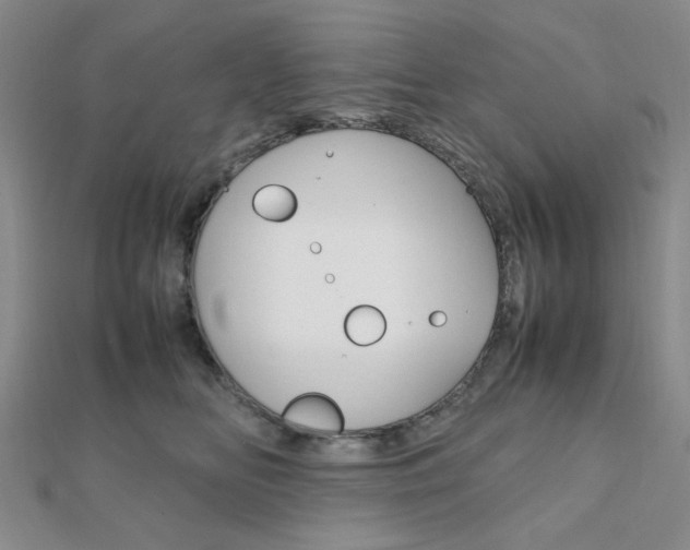 X0000112010518200908031024