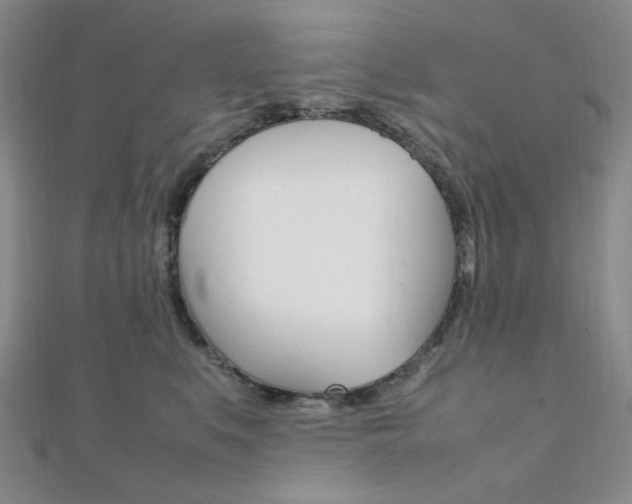 X0000112010519200908031024