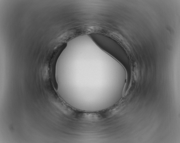 X0000112010520200908031024