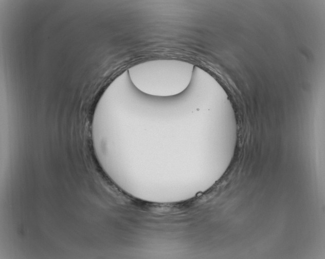 X0000112010521200908031024
