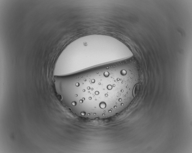 X0000112010525200908031024