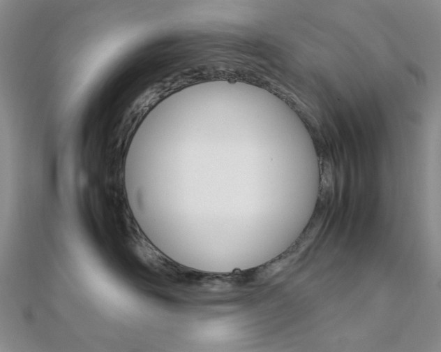 X0000112010526200908031024