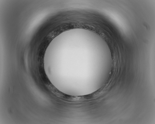 X0000112010527200908031024