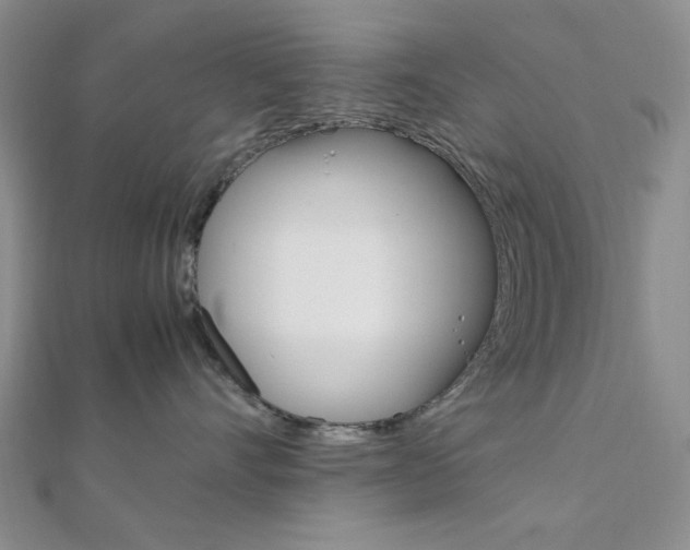 X0000112010528200908031024
