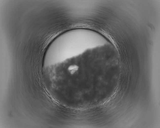 X0000112010529200908031023