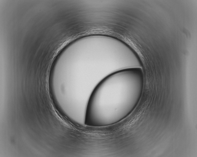 X0000112010530200908031023