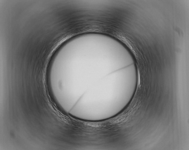 X0000112010531200908031023