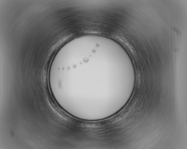 X0000112010533200908031023