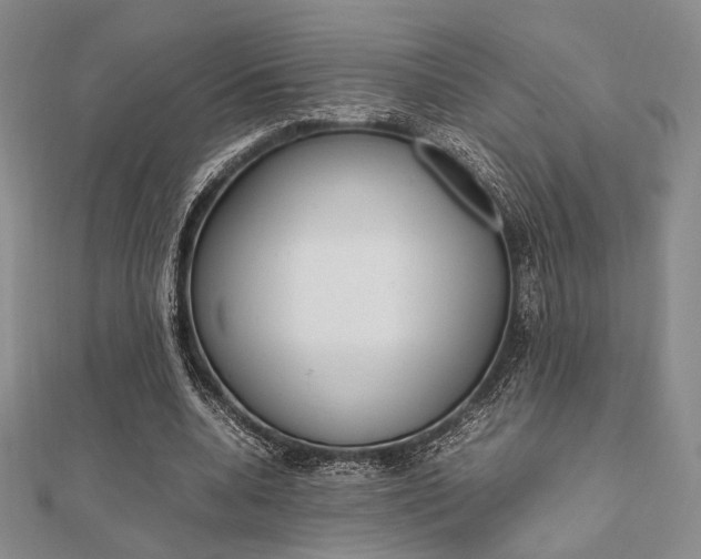 X0000112010536200908031023