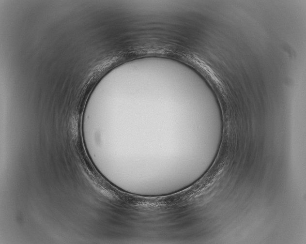 X0000112010537200908031023