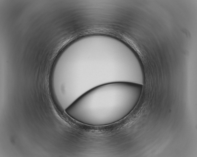 X0000112010538200908031023