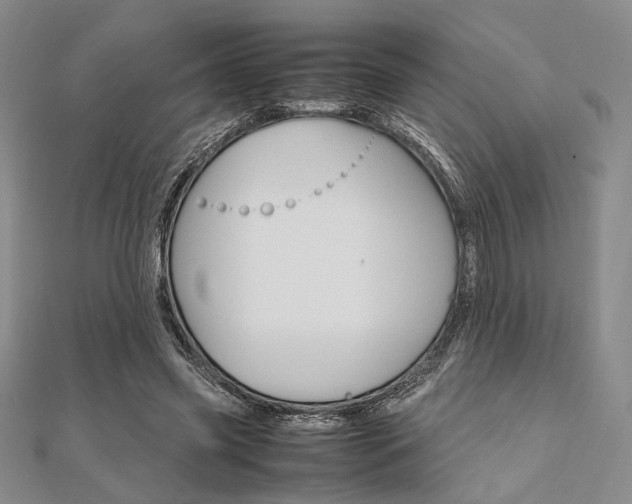 X0000112010541200908031023