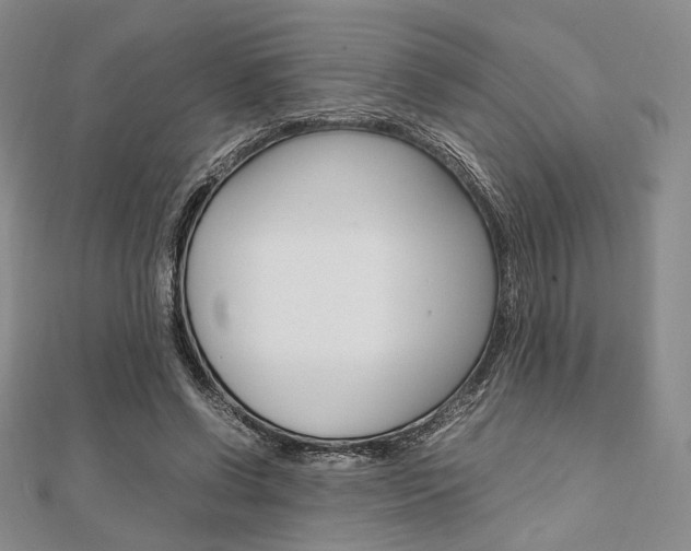 X0000112010542200908031023