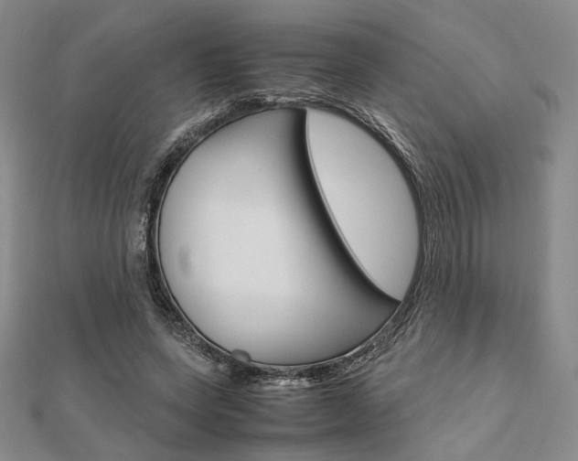 X0000112010543200908031023