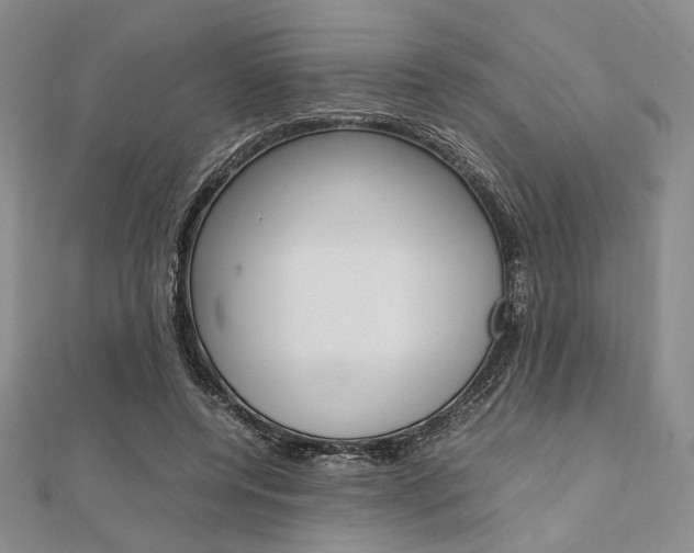 X0000112010544200908031023