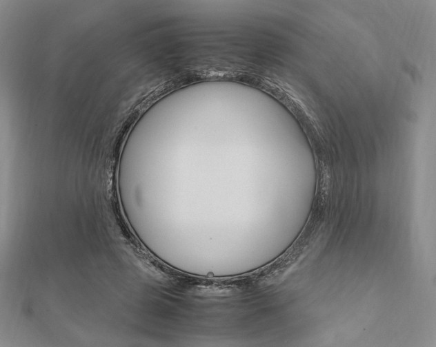 X0000112010545200908031023