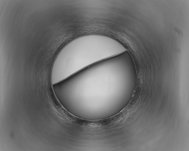 X0000112010546200908031023