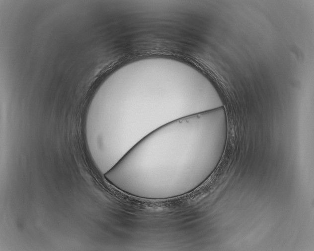 X0000112010547200908031023